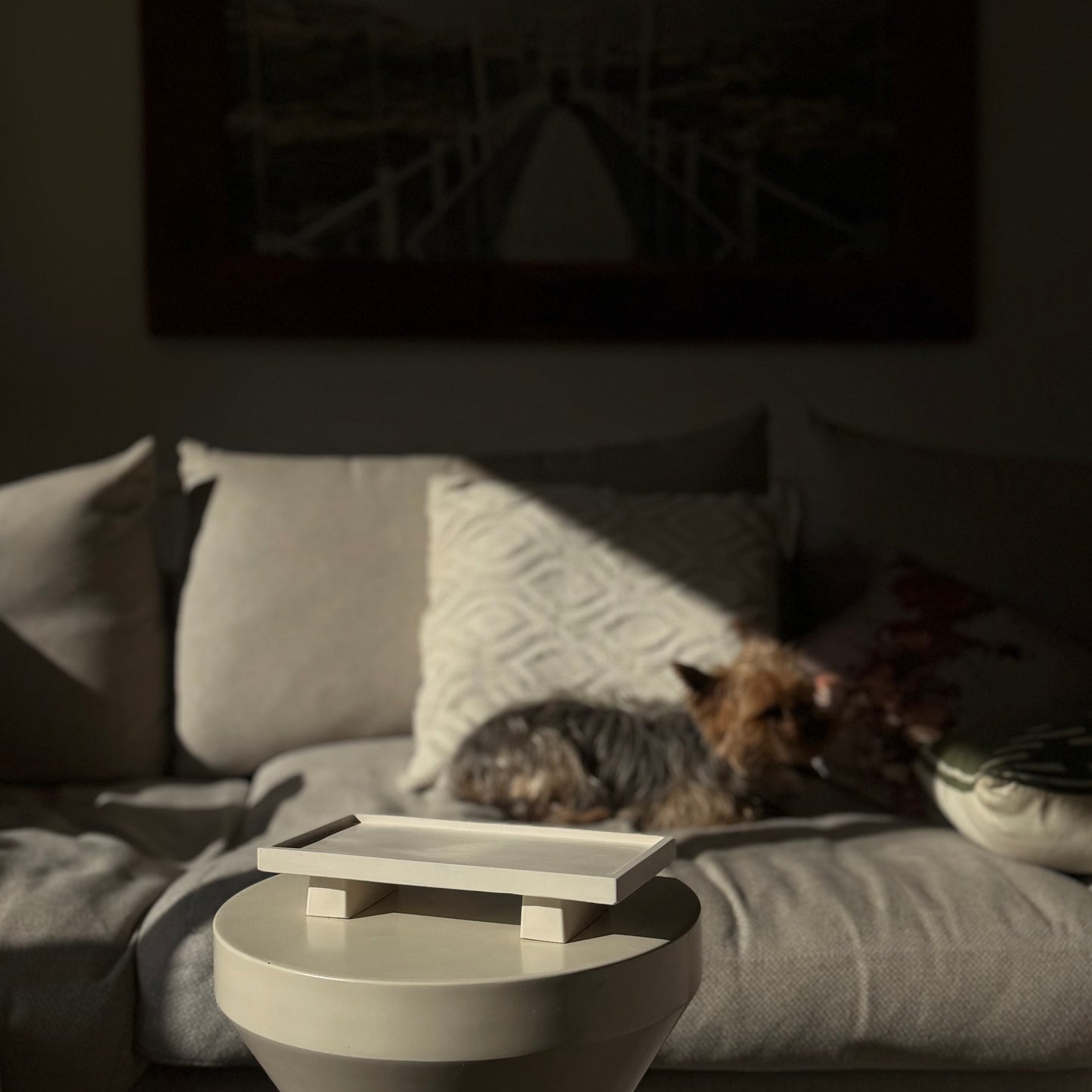 Malmo Home Poise Rectangle plinth empty on a side table with a dog resting on a sofa in the background